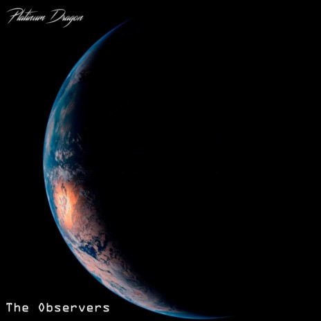 The Observers | Boomplay Music