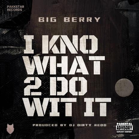 I Kno What 2 Do Wit It | Boomplay Music