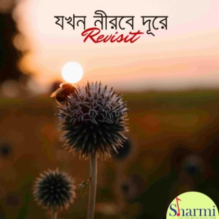 Jokhon Nirobe Dure Revisit ft. Sudipto Sankar Basu lyrics | Boomplay Music