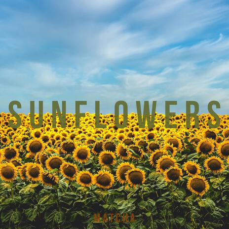 Sunflowers | Boomplay Music