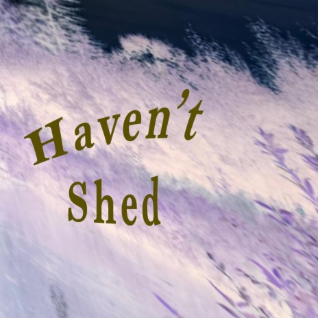 Haven't Shed | Boomplay Music
