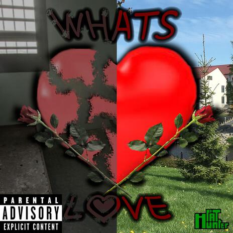 What's Love | Boomplay Music