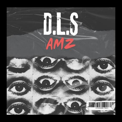 D.L.S | Boomplay Music