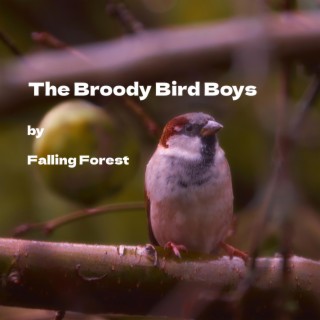 The Broody Bird Boys