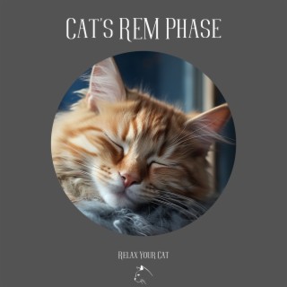 Cat's REM Phase