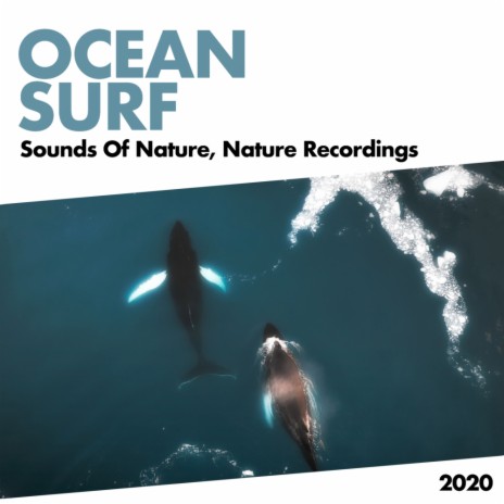 Big Waterfall (Original Mix) ft. Nature Recordings