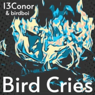 Bird Cries