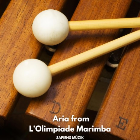 Del destin non vi lagnate, Aria from L'Olimpiade Marimba | Boomplay Music