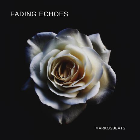 Fading Echoes | Boomplay Music