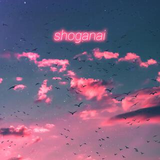 Shoganai