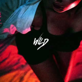 WILD ft. Avi Roy lyrics | Boomplay Music