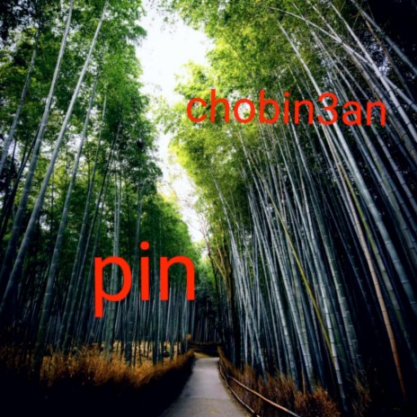Pin | Boomplay Music