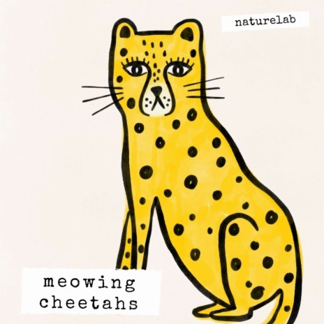 Meowing Cheetahs | Boomplay Music