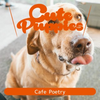 Cafe Poetry