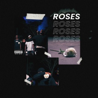 ROSES lyrics | Boomplay Music