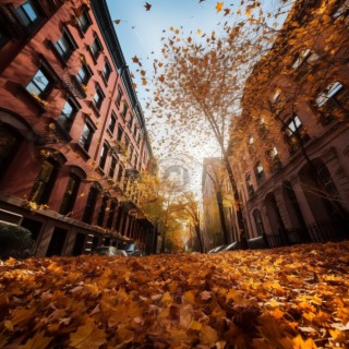 Pian Sounds: Autumn Mornings in Park Slope, New York City