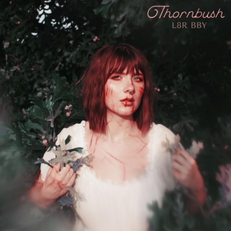 Thornbush