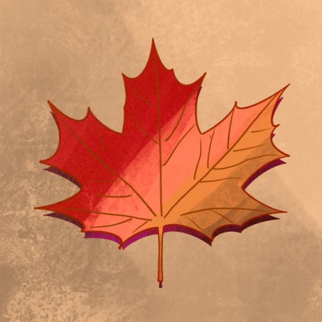 Maple Leaves | Boomplay Music