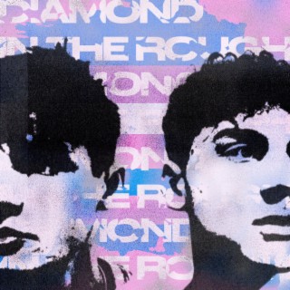 Diamond In The Rough ft. Nico Pagni lyrics | Boomplay Music