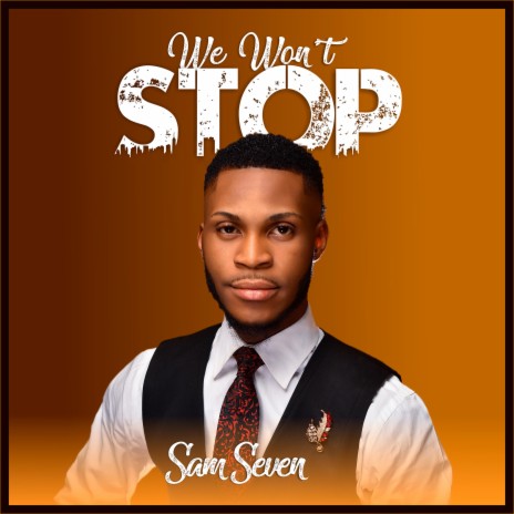 We Won't Stop | Boomplay Music