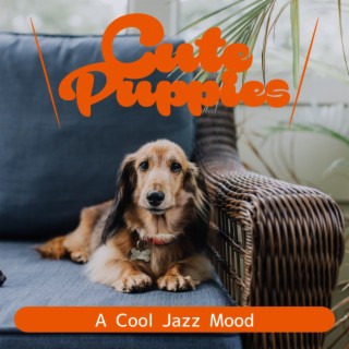 A Cool Jazz Mood