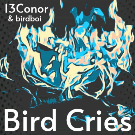 Bird Cries ft. 13Conor