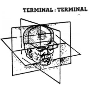 TERMINAL : TERMINAL