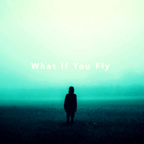 What If You Fly? | Boomplay Music