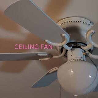 Ceiling Fan