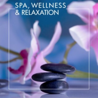 Spa, Wellness & Relaxation