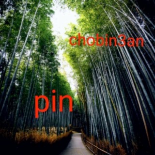 Pin