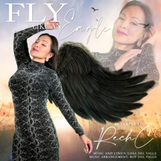 Fly Like an Eagle lyrics | Boomplay Music