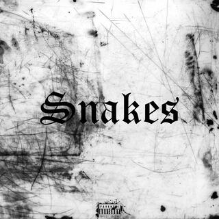 Snakes