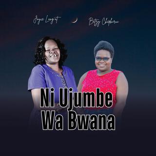 Ni Ujumbe Wa Bwana