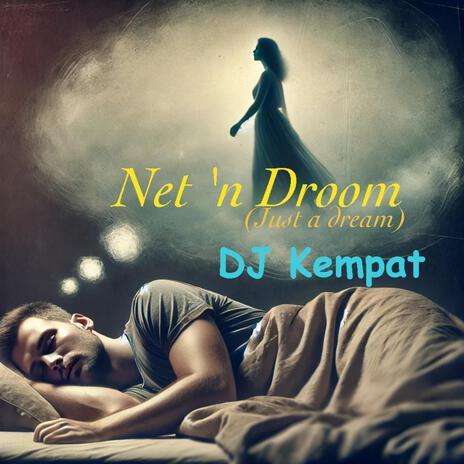 Net 'n Droom | Boomplay Music