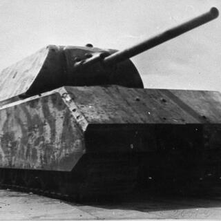 VIII Maus