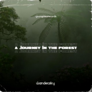 A Journey in the Forest