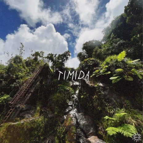 timida | Boomplay Music