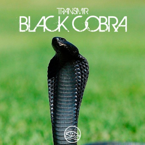 Black Cobra | Boomplay Music