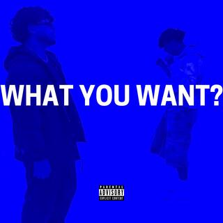 WHAT YOU WANT?