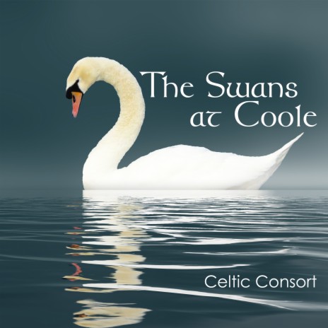 The Swans at Coole | Boomplay Music