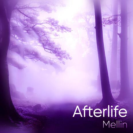 Afterlife | Boomplay Music