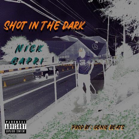 Shot In The Dark | Boomplay Music