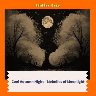 Cool Autumn Night – Melodies of Moonlight