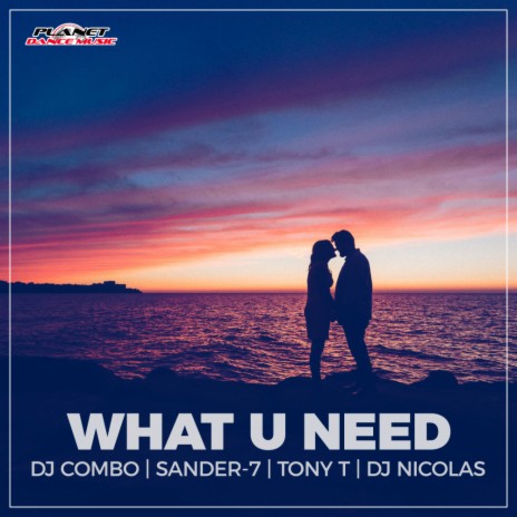 What U Need (Radio Edit) ft. Sander-7, Tony T & DJ Nicolas
