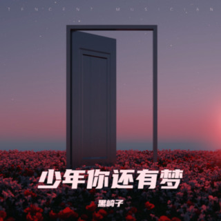 少年你还有梦 lyrics | Boomplay Music