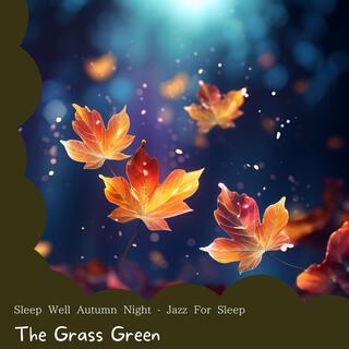 Sleep Well Autumn Night-Jazz for Sleep