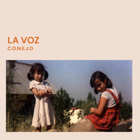 La Voz | Boomplay Music