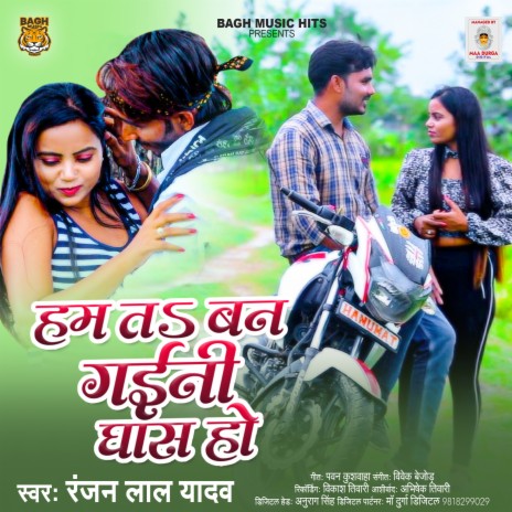 Ham Ta Ban Gaini Ghas Ho | Boomplay Music