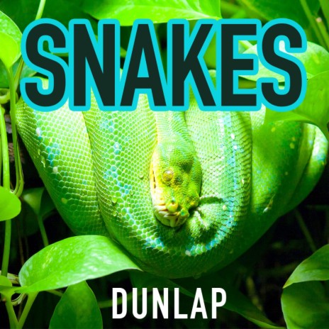 SNAKES | Boomplay Music